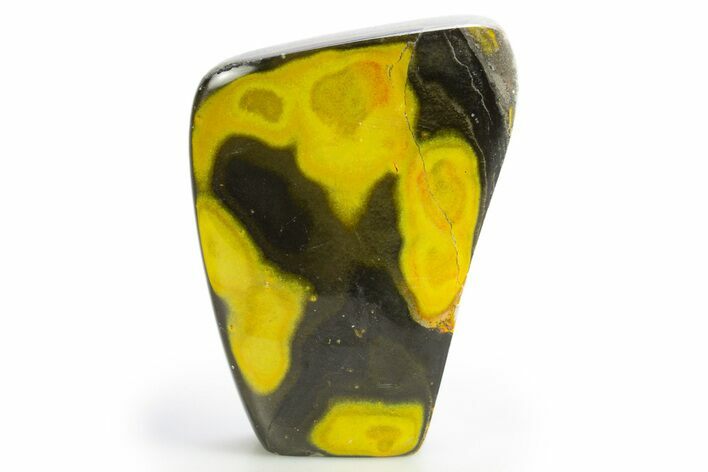 Very Vibrant, Free-Standing Polished Bumblebee Jasper #312064